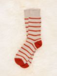 Celtic & Co. Merino Wool Rich Stripe Ankle Socks, Camel/Saffron