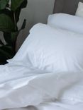 Piglet in Bed Washed Cotton Percale Bedding, White