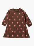 Little Green Radicals Baby Foxes Snuggle Dress, Brown