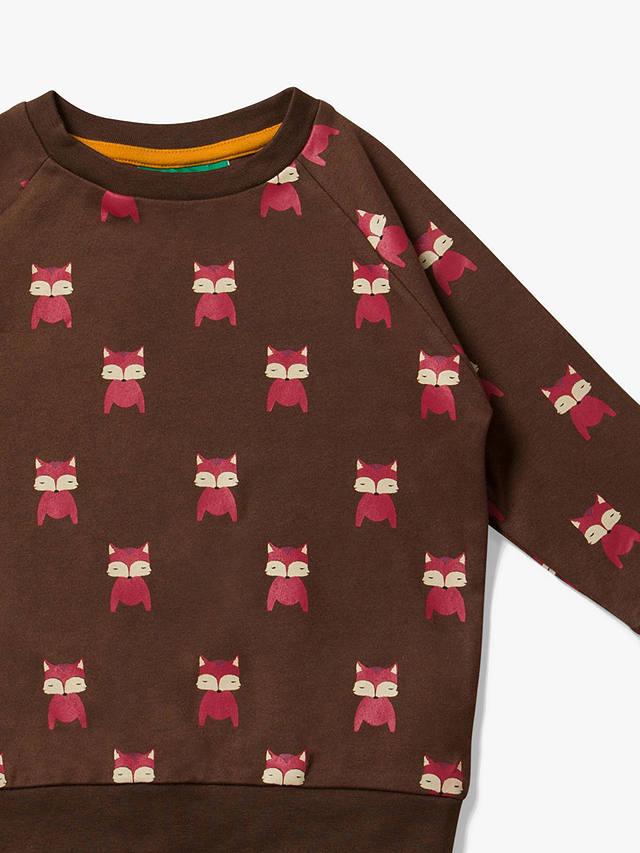 Little Green Radicals Baby Foxes Sweatshirt, Brown