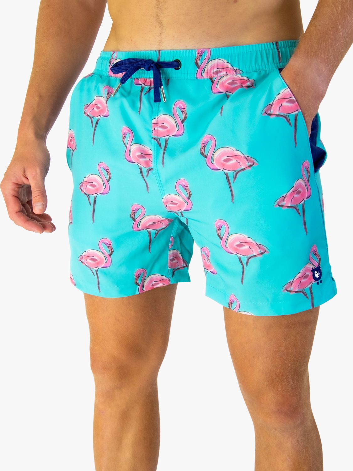 Randy Cow Flamingo Print Swim Shorts, Blue, XS