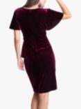 Gina Bacconi Kadie Velvet Knee Length Dress, Wine