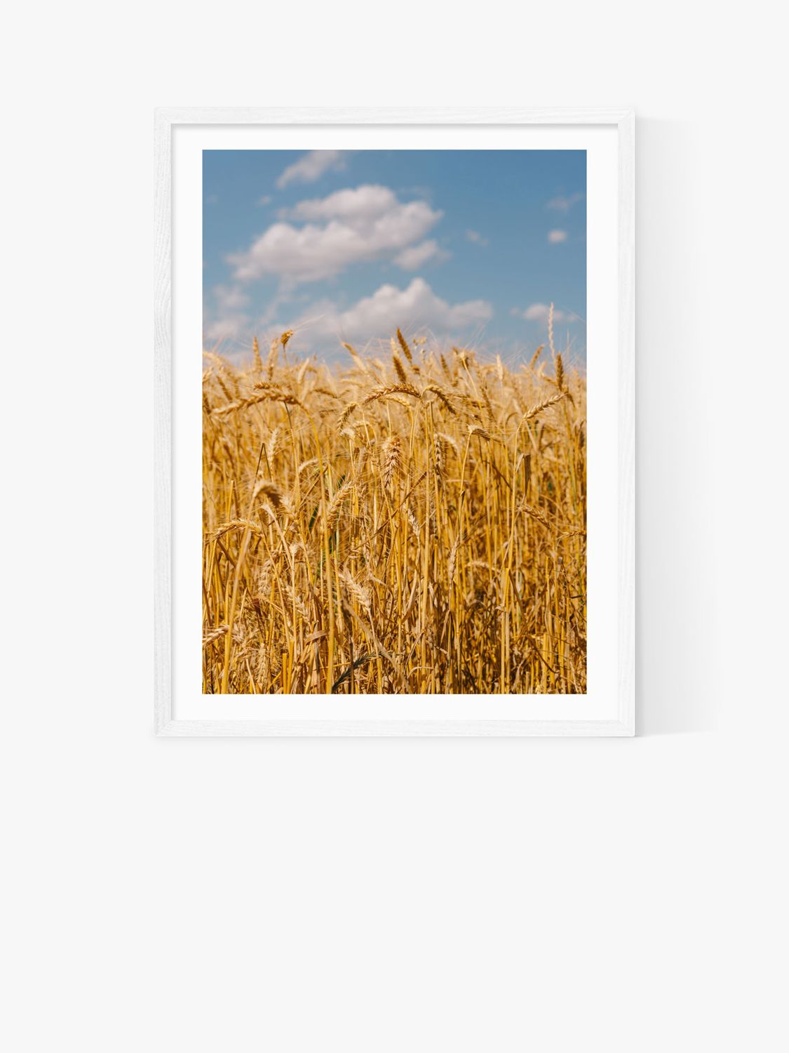 EAST END PRINTS Bethany Young 'Summer Wheat Fields II' Framed Print
