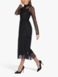 Lace & Beads Roman Lola Spot Mesh Midi Dress, Black