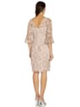 Adrianna Papell Metallic Embroidery Sheath Dress, Blush, Blush