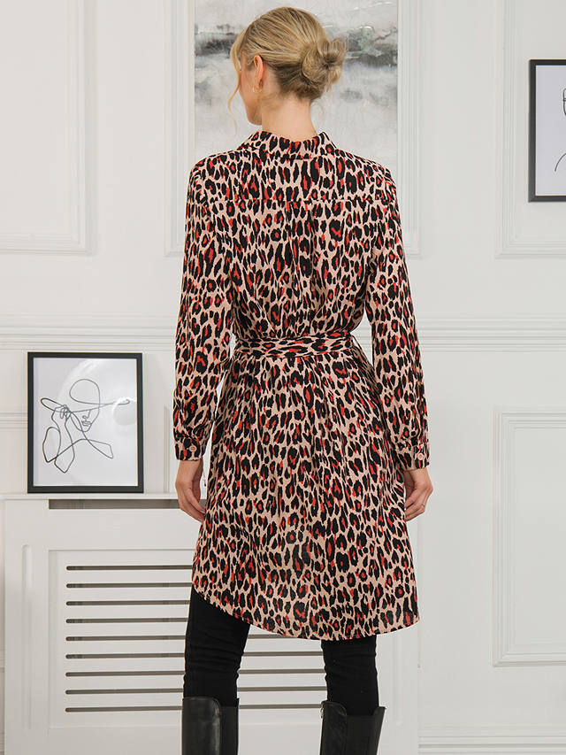 Jolie Moi Sylvia Leopard Print Shirt Dress, Red