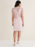 Phase Eight Petite Isabella Lace Dress, Antique Rose
