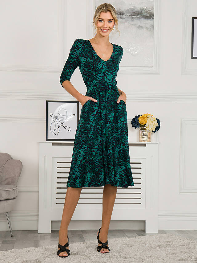 Jolie Moi Lilian Animal Print Fit And Flare Dress, Green