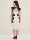 Phase Eight Salima Lace Embroidered Pencil Dress, Navy/Ivory