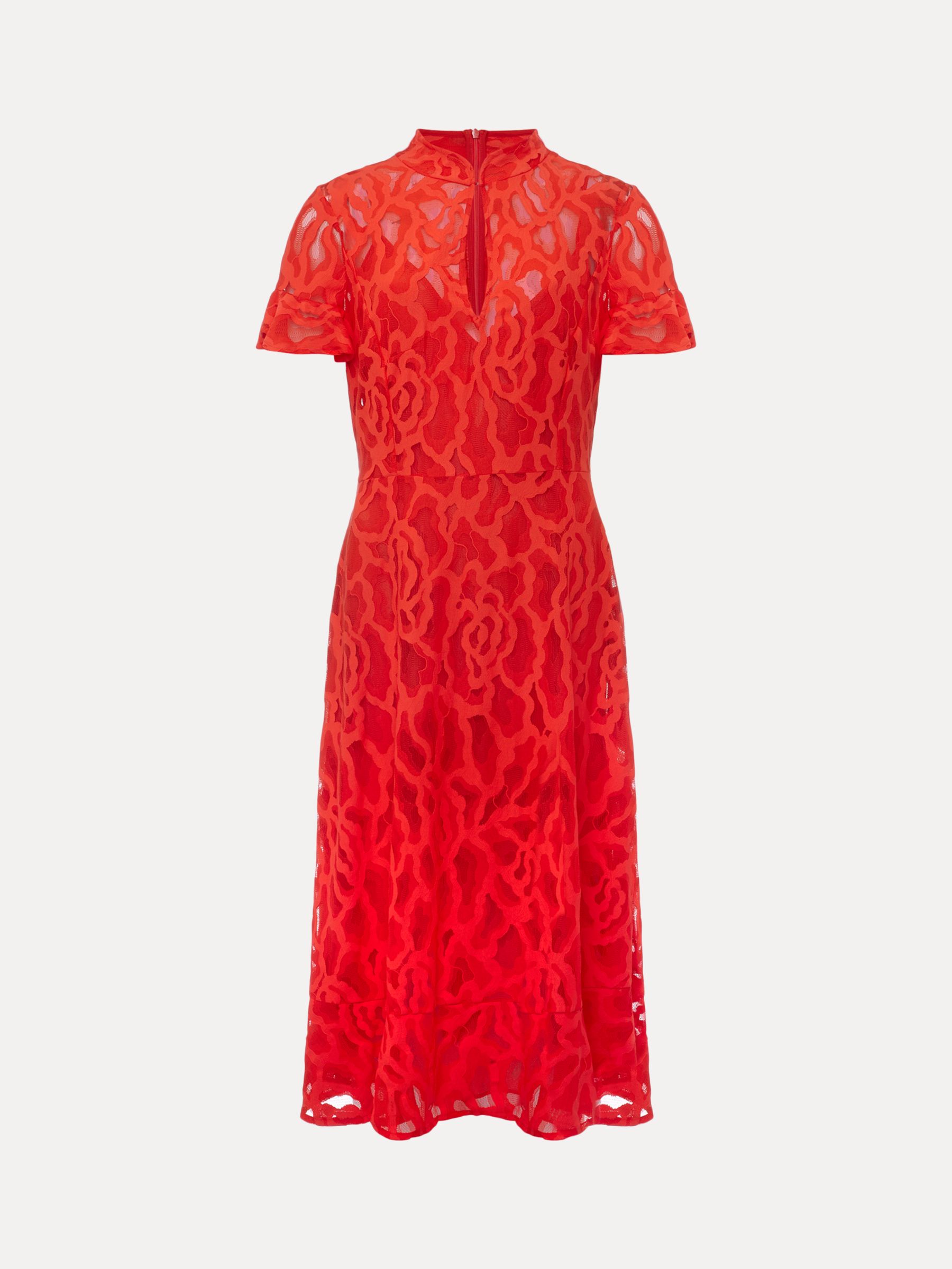 Phase Eight Lulu Lace Dress, Fire at John Lewis & Partners