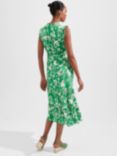 Hobbs Elsa Petite Floral Print Dress, Green/Buttercream, Green/Buttercream