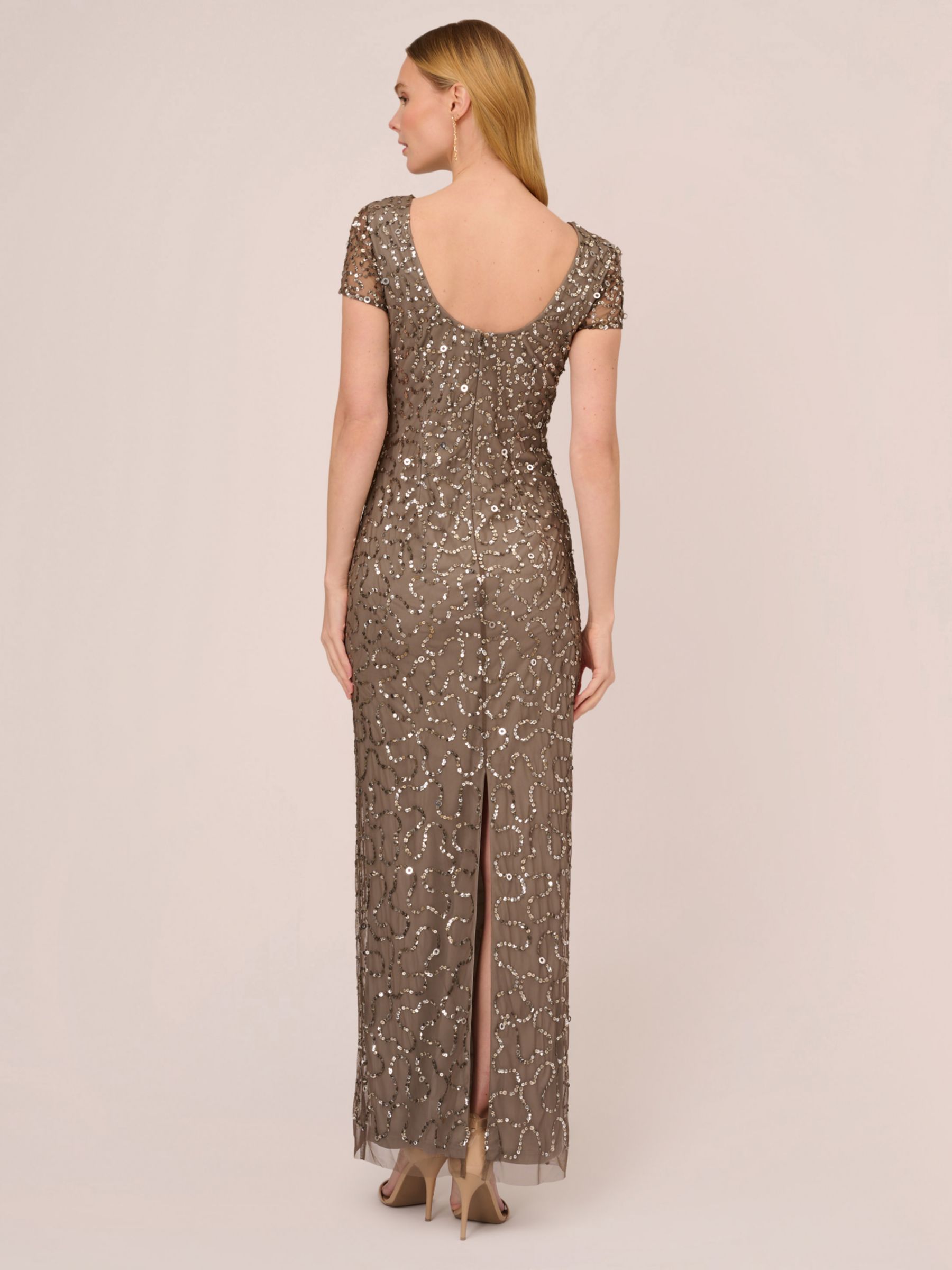 Adrianna Papell Papell Studio Beaded Illusion Sleeve Gown Lead