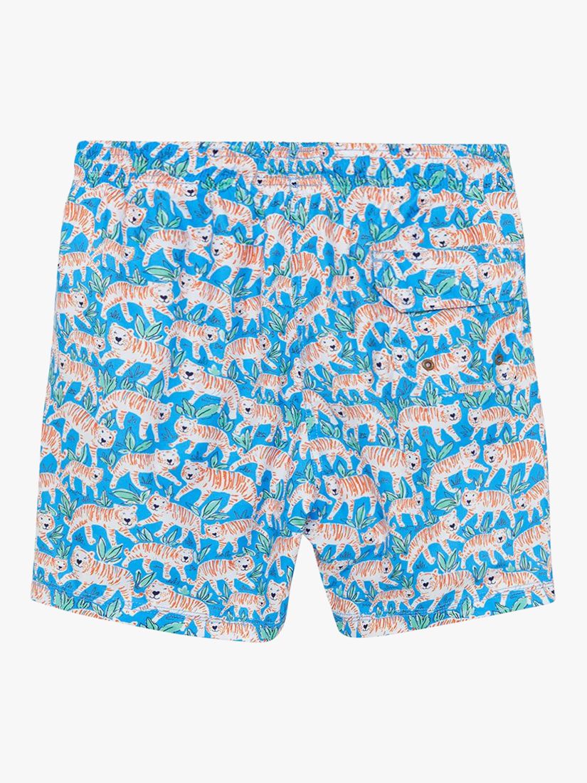 Trotters Tiger Swim Shorts, Aqua/Tiger, S