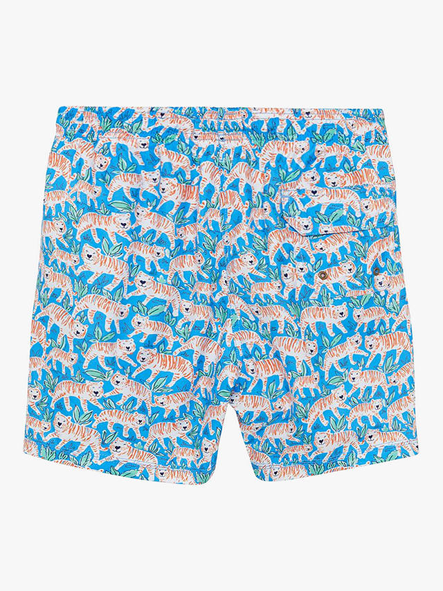Trotters Tiger Swim Shorts, Aqua/Tiger