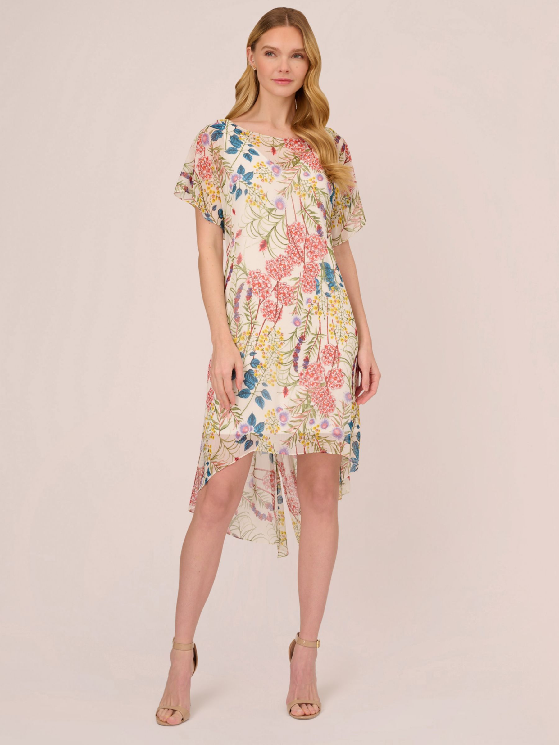 Adrianna Papell Floral Printed Chiffon Dress, Cream/Multi, XS