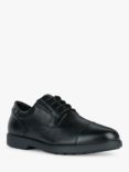 Geox Spherica EC11 Leather Oxford Shoes