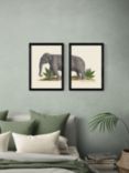 EAST END PRINTS Natural History Museum 'Elephant' Framed Print, Set of 2