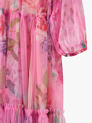 Angel & Rocket Eleanor Floral Print Mesh Dress, Pink
