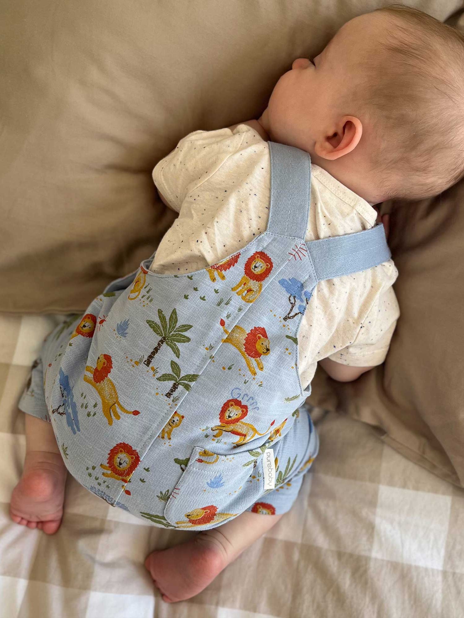 Purebaby Baby Organic Cotton Lion Print T-Shirt & Slouchy Trousers Set, Blue/Multi, 18-24 months
