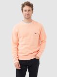 Rodd & Gunn Cotton Crew Neck Jumper, Apricot