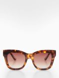 Mango Women's Gracia Square Sunglasses, Havana