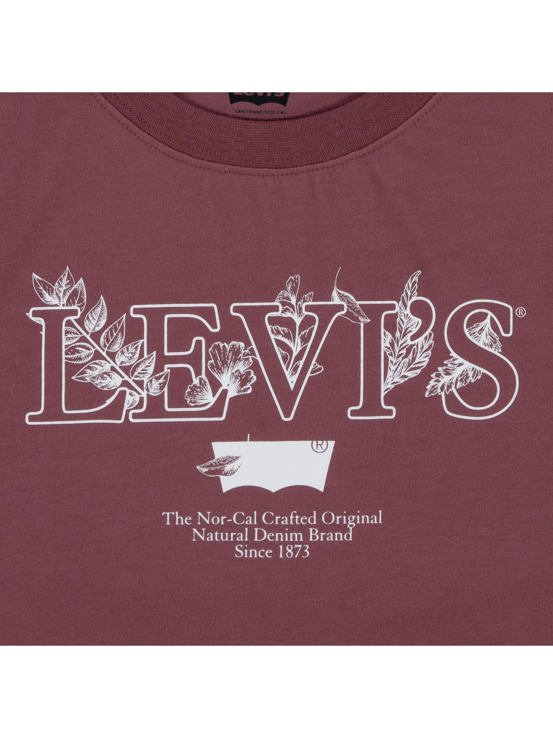Levi's Kids' All Natural Logo T-Shirt, Roan Rouge, 14 years