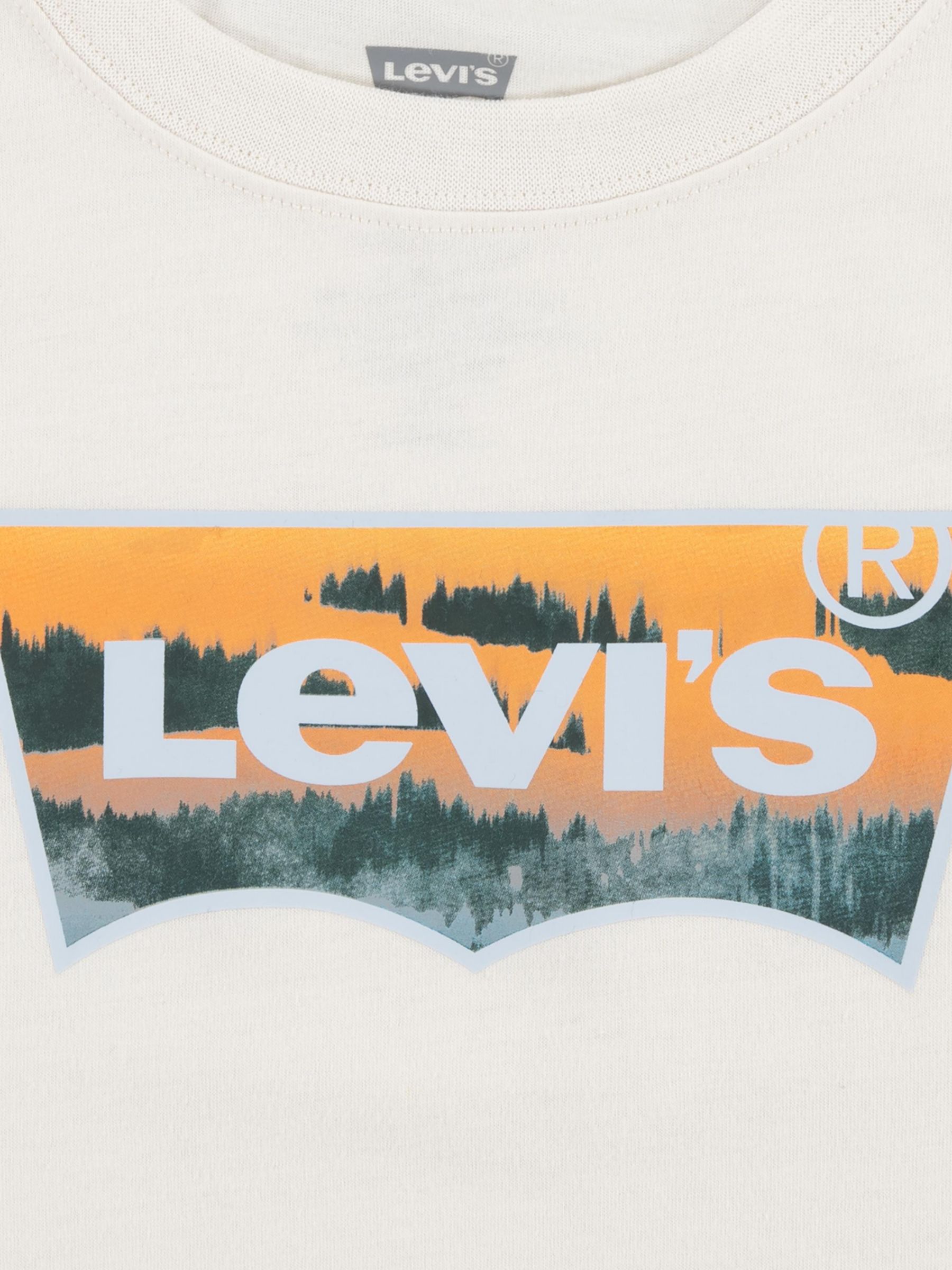 Levi's Kids' Graphic Batwing Logo T-Shirt, Birch, 12 years