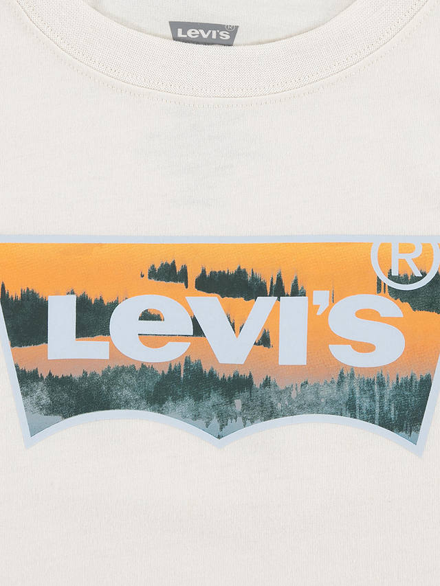 Levi's Kids' Graphic Batwing Logo T-Shirt, Birch