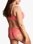 Panache Allure Brief, Coral