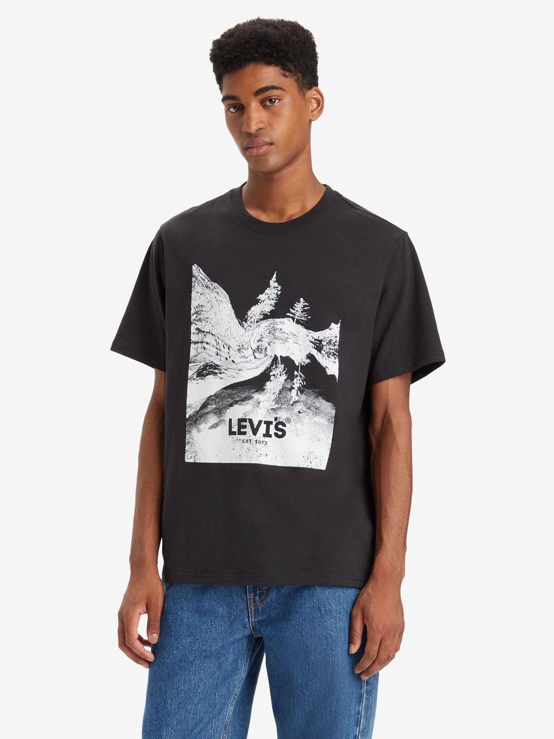 Levi's Short Sleeve Relaxed Graphic T-Shirt, Warped Scenic Caviar, M