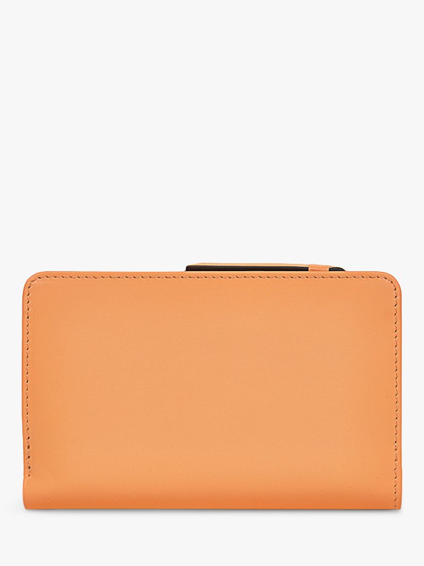 Buy Radley The Grass is Greener Medium Bifold Purse, Apricot Online at johnlewis.com