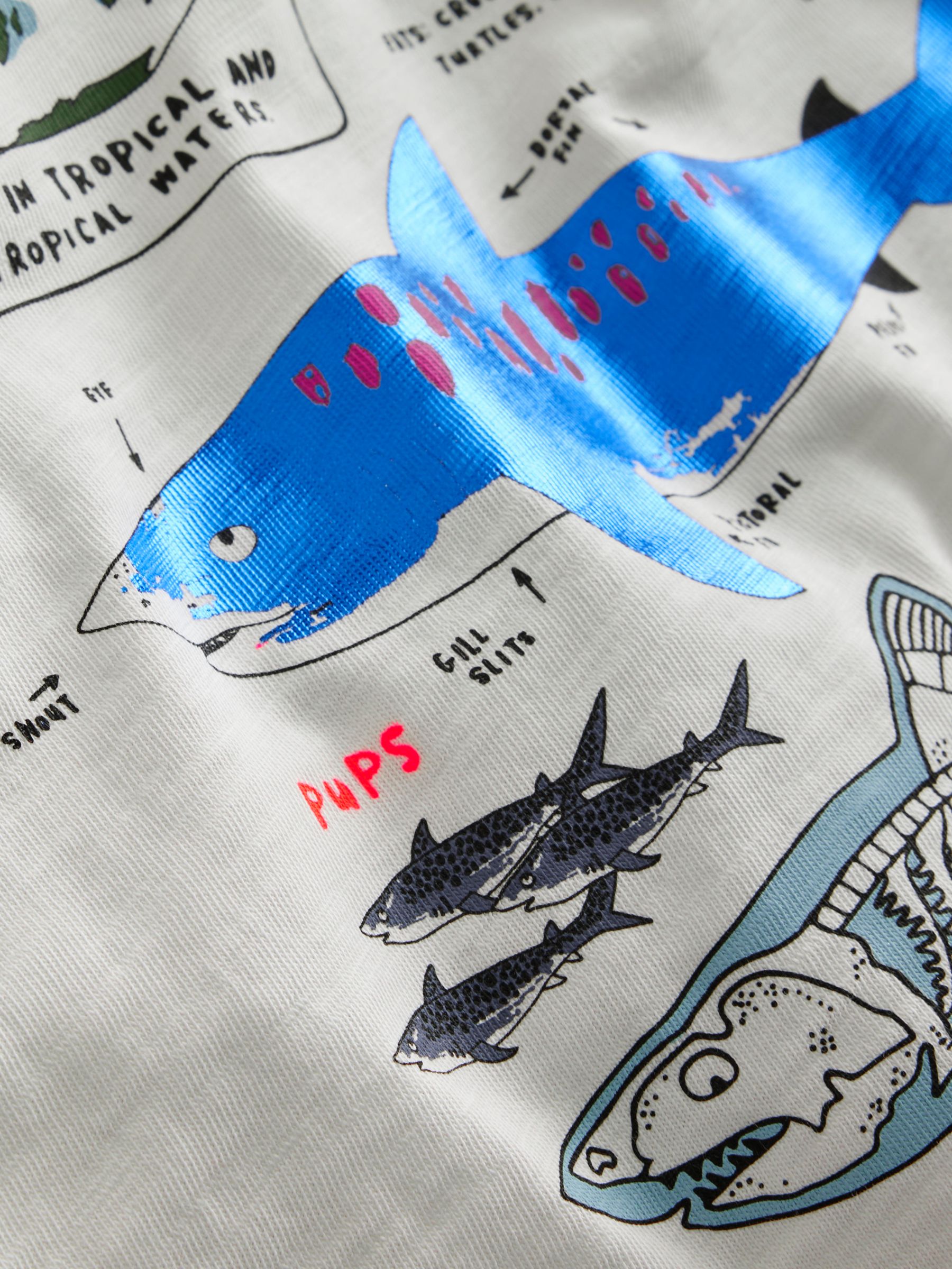 Mini Boden Kids' Sharks Fact File Raglan Sleeve T-Shirt, Ivory/Navy Sharks, 2-3 years
