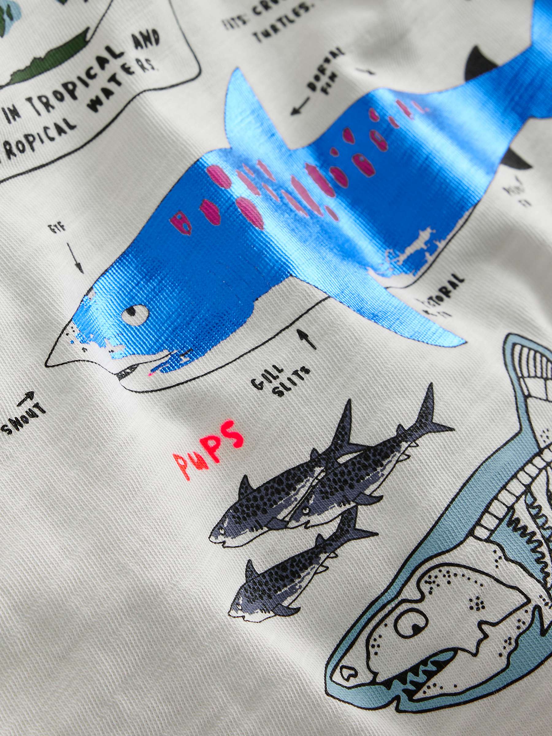 Buy Mini Boden Kids' Sharks Fact File Raglan Sleeve T-Shirt, Ivory/Navy Online at johnlewis.com