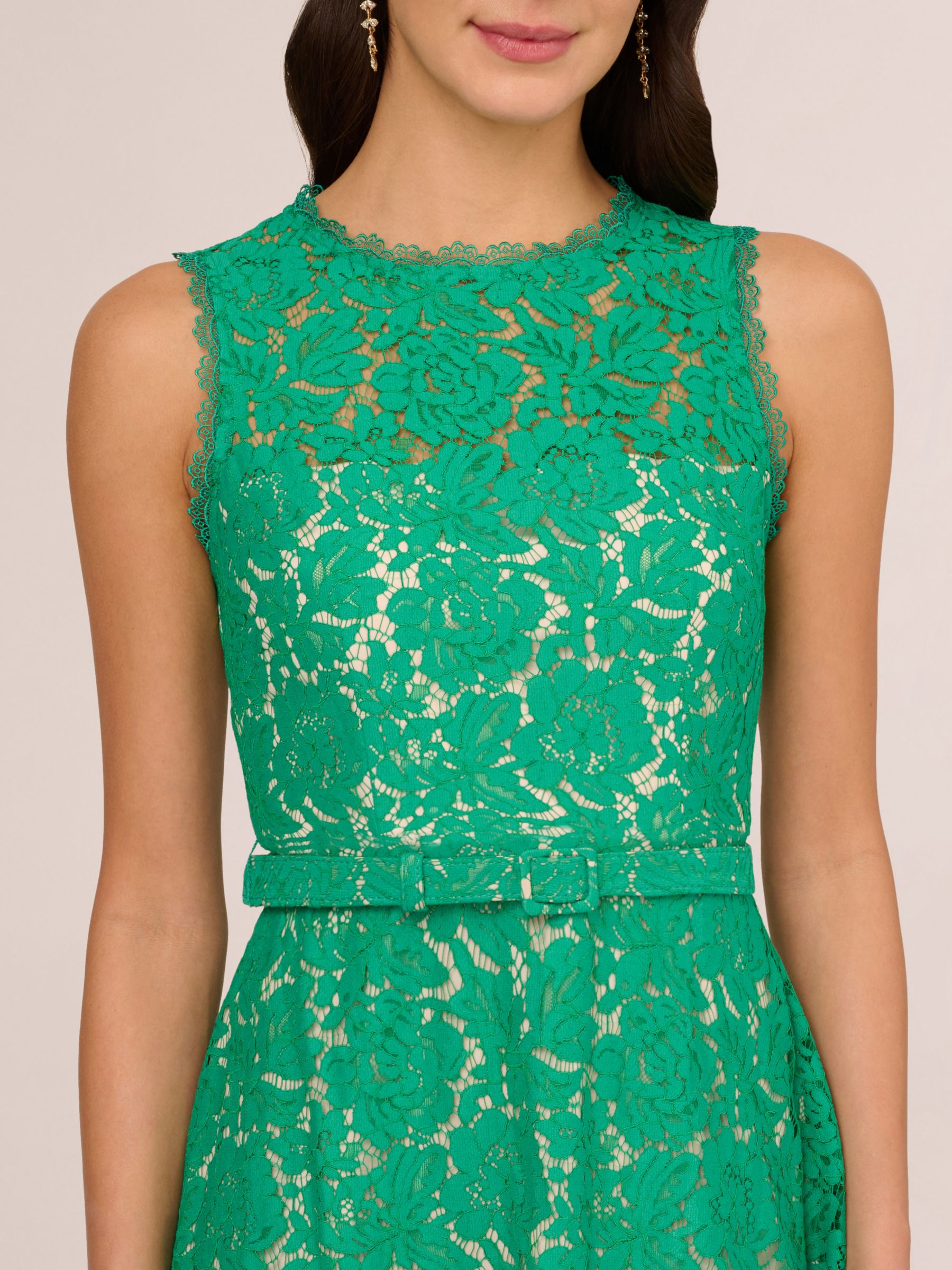 Adrianna Papell Knit Lace Flared Dress Botanic Green