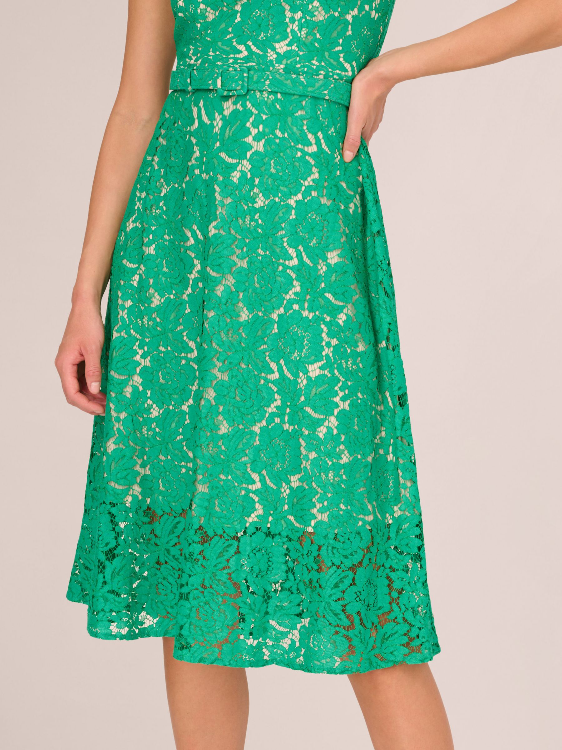 Adrianna Papell Knit Lace Flared Dress, Botanic Green, 12
