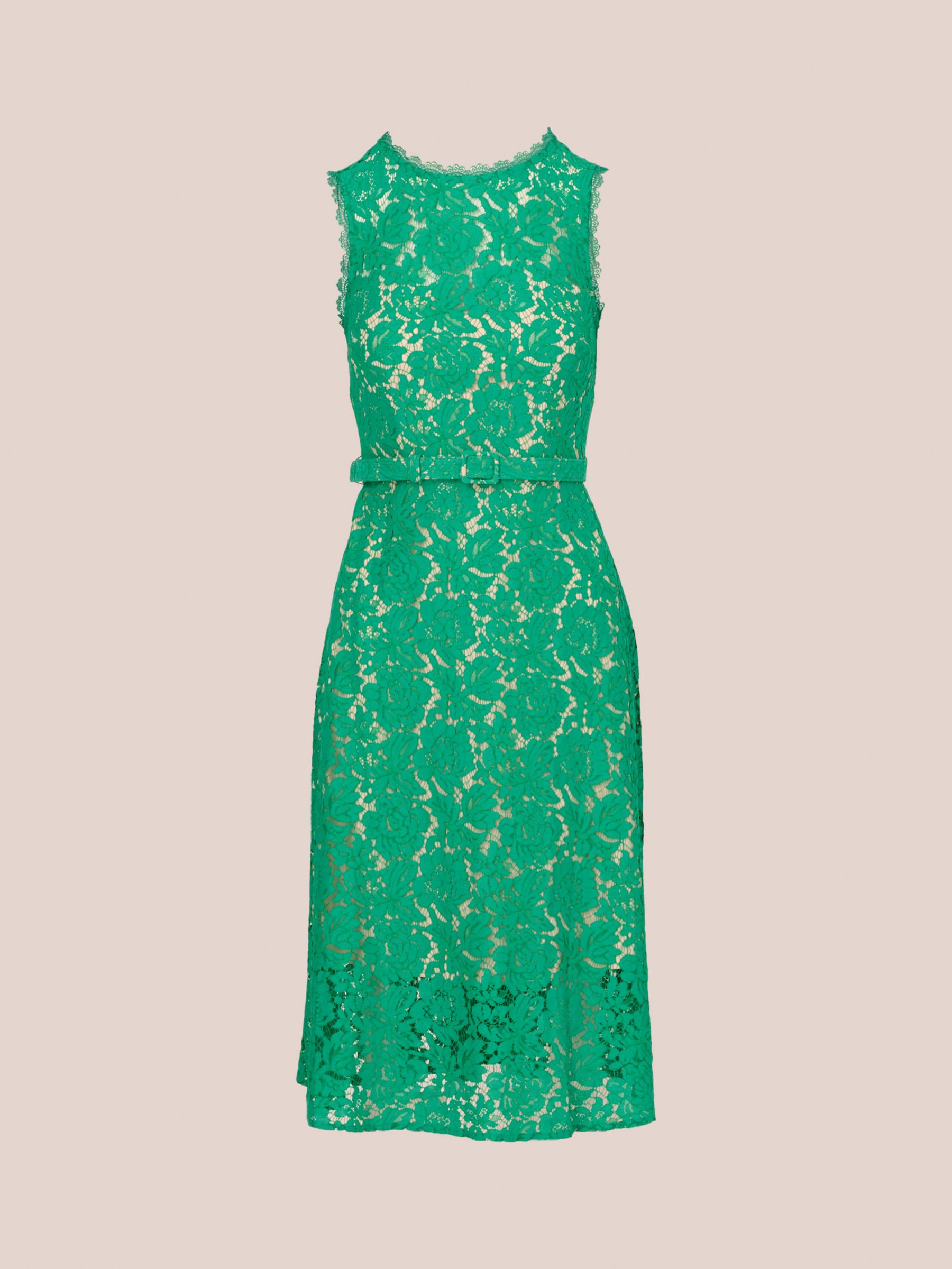 Adrianna Papell Knit Lace Flared Dress, Botanic Green, 12