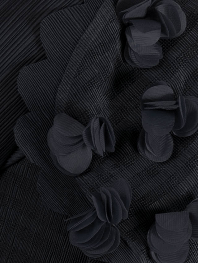 chesca Applique Chiffon Flower Pleated Dress, Black
