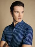 Charles Tyrwhitt Short Sleeve Stripe Jersey Polo Shirt