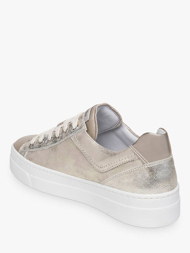 NeroGiardini Low Top Leather Trainers, Gold