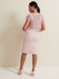 Phase Eight Petite Daisy Textured Bodice Dress, Pale Pink