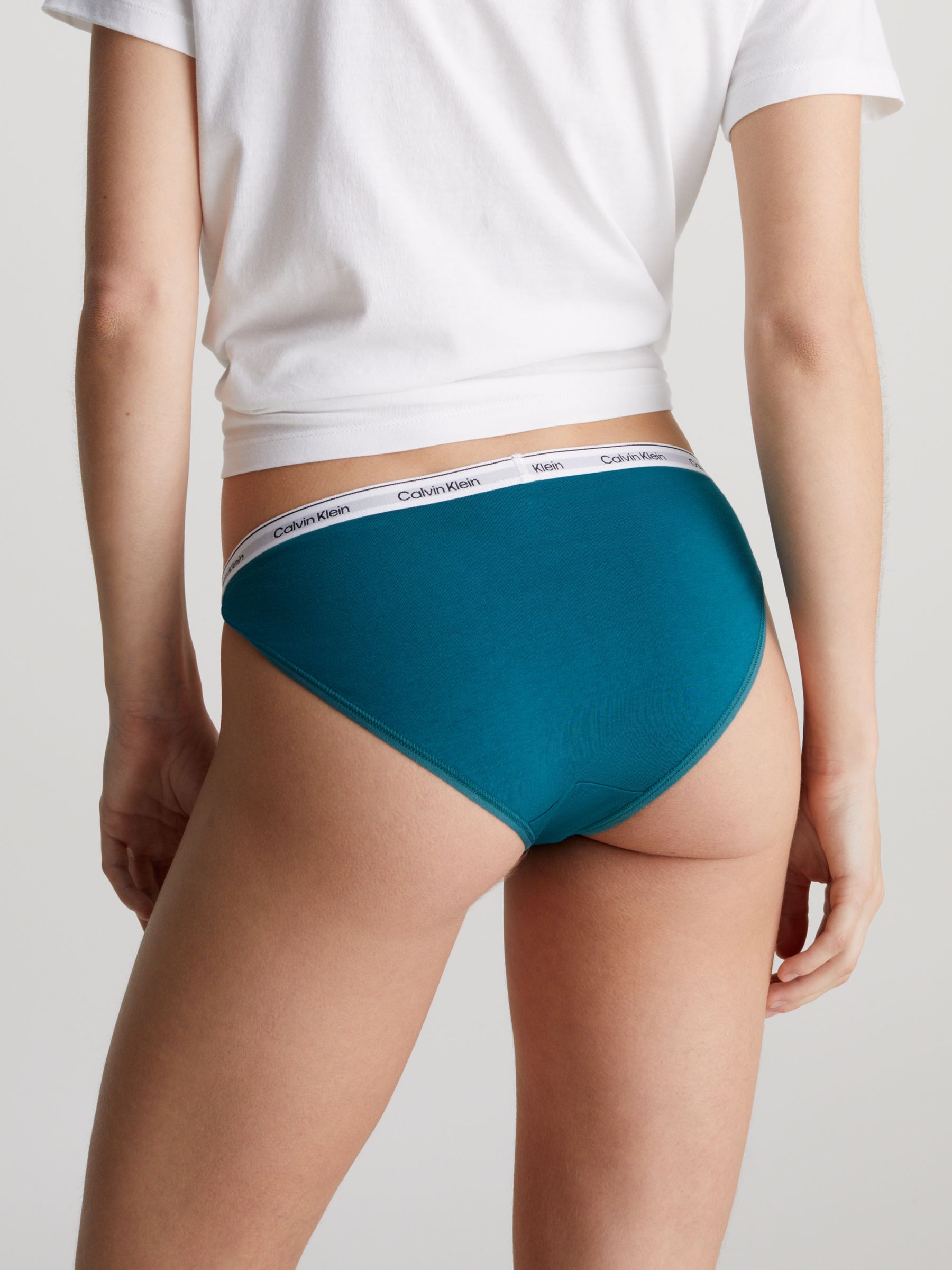 Buy Calvin Klein Bikini Brief - Calvin Klein Underwear Online