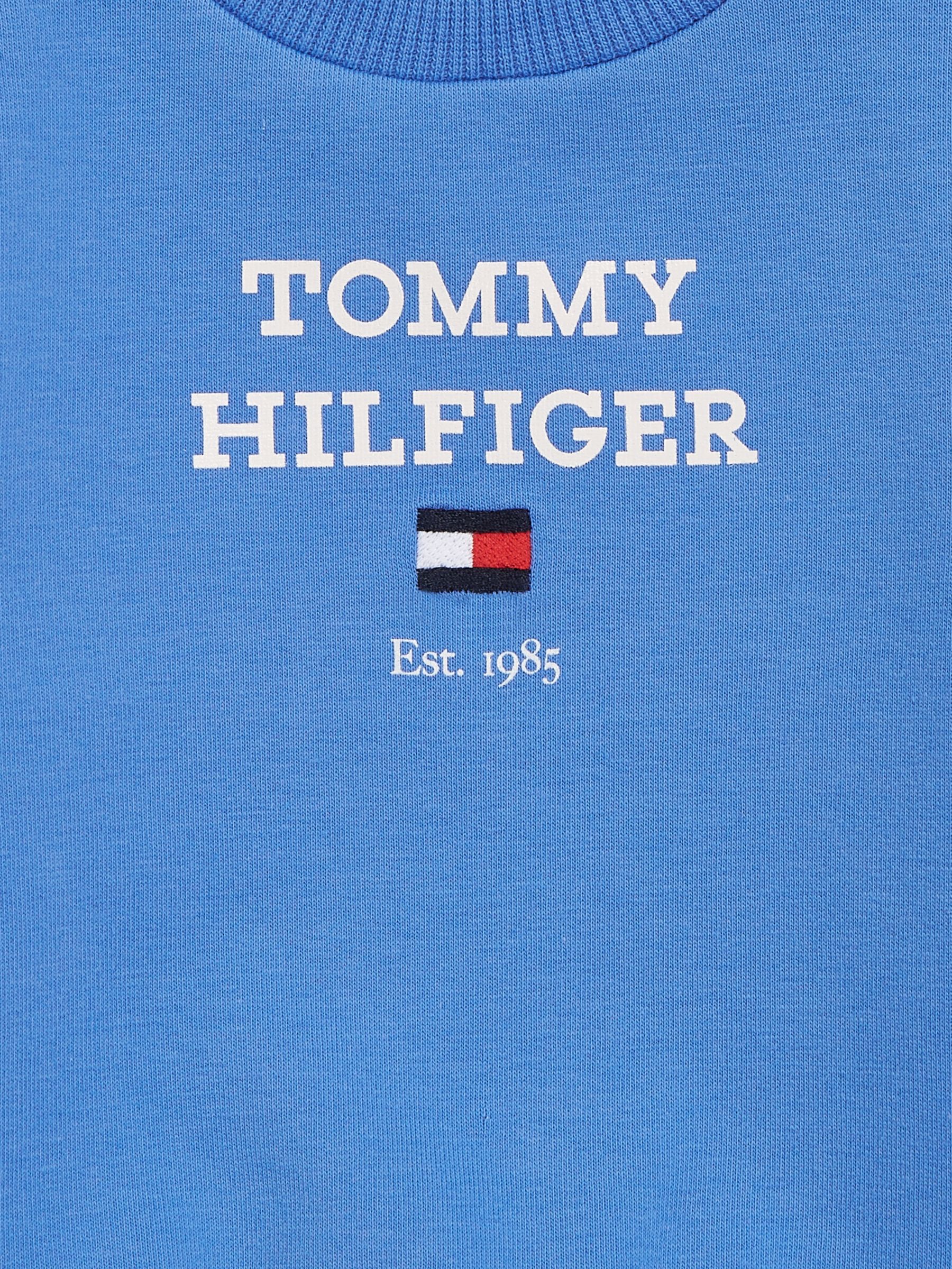 Light blue best sale tommy hilfiger sweatshirt