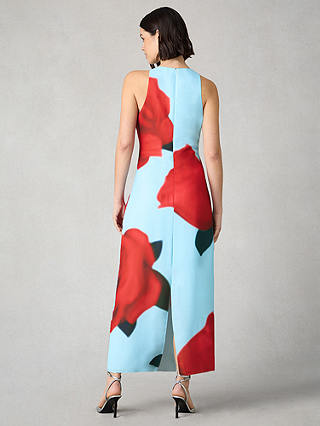 Ro&Zo Petite Camilla Rose Print Maxi Dress, Blue/Red