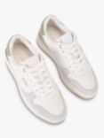 Carvela Charm Leather Trainers, Green/White