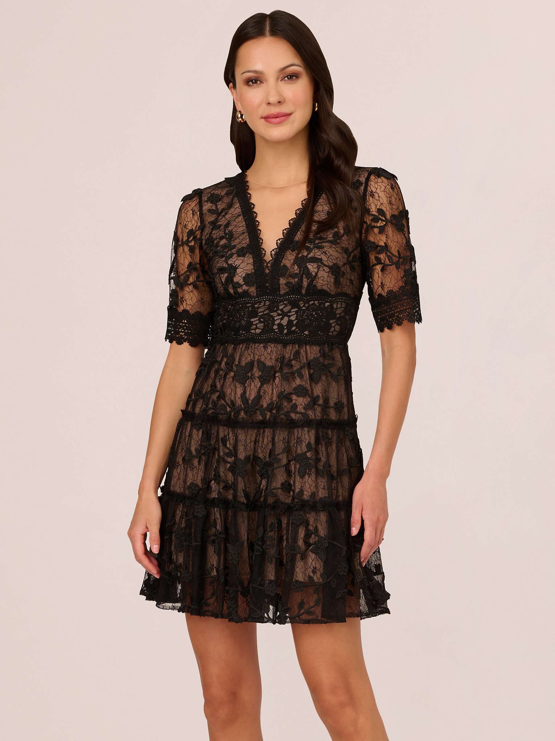 Buy Adrianna Papell Lace Embroidery Mini Dress Online at johnlewis.com