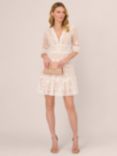 Adrianna Papell Lace Embroidery Mini Dress, Ivory/Nude