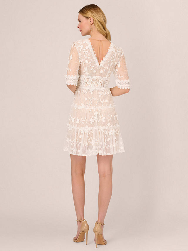 Adrianna Papell Lace Embroidery Mini Dress, Ivory/Nude