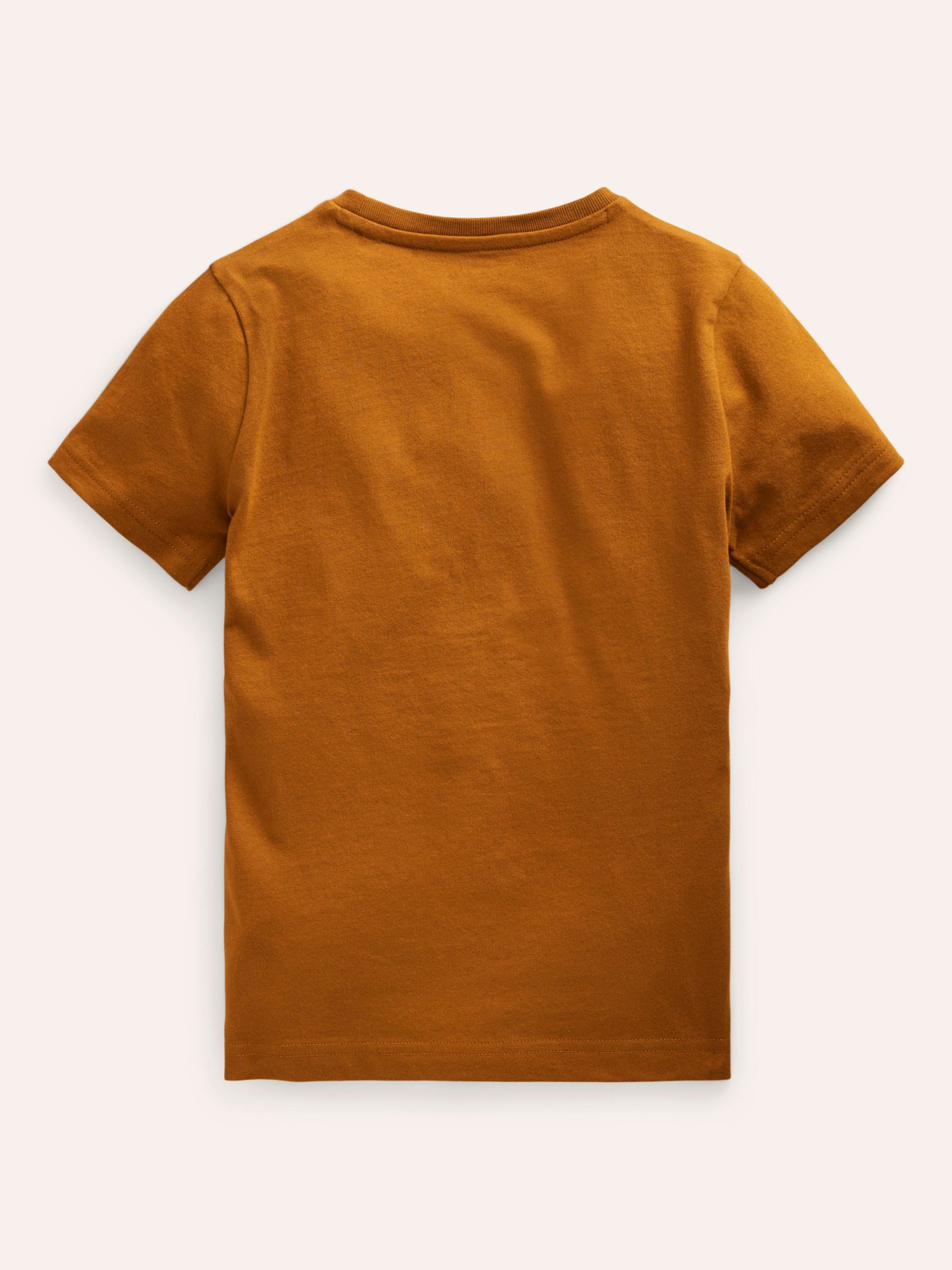 Mini Boden Kids' Lion Superstitch T-Shirt, Chestnut, 2-3 years