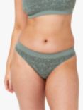 Ambra Bare Essentials Lace Bikini Brief, Lagoon