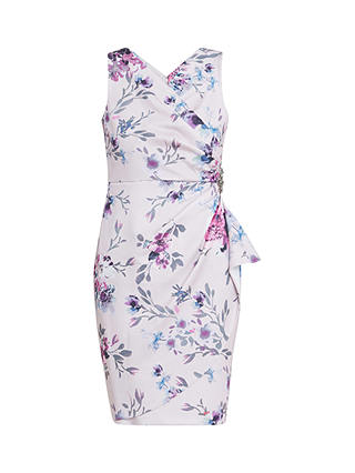 Gina Bacconi Petite Evelina Floral Print Knee Length Dress, Blush/Multi